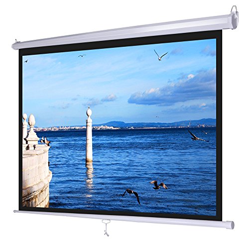8 X 8FT PROJECTOR WALLMOUNT SCREEN